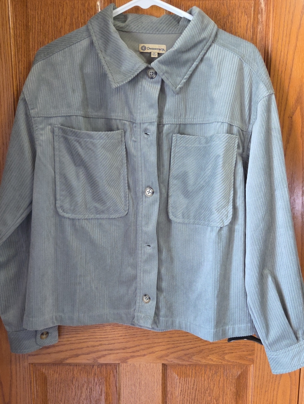 Democracy Light Sage Corduroy Button-Up Jacket